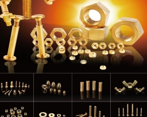 fastener-world(HAIYAN SANHUAN FASTENERS CO., LTD. )