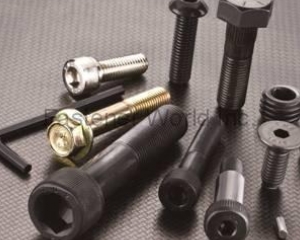 Torx Drive System Screws(MAUDLE INDUSTRIAL CO., LTD. )