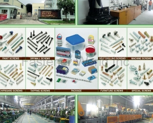 Paint Screws, Drywall Screws, Chipboard Screws, Tapping Screws, Self Drilling Screws, Machine Screws, Furniture Screws, Special Screws, Package(MASTER UNITED CORP. )