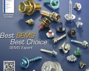 SEMS SCREW  (CHIAN YUNG CORPORATION )