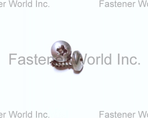 fastener-world(TONG HO SHING INTERNATIONAL CO., LTD. )