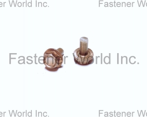 fastener-world(TONG HO SHING INTERNATIONAL CO., LTD. )