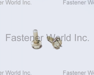 fastener-world(TONG HO SHING INTERNATIONAL CO., LTD. )