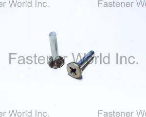 fastener-world(TONG HO SHING INTERNATIONAL CO., LTD. )