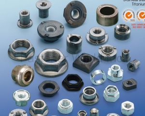 Weld Nuts, Special Nuts(EVER-TOP HARDWARE CORP. )