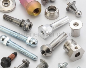 Customized Parts(金祐昇实业有限公司 (J. T. Fasteners Supply Co., Ltd.) )