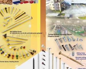 Self Drilling Screws, Thread Rolling (Forming) Screws, Plastics Screws, Drywall Screws, Laminating Screws, Self Piercing Screws, Farmer Screws, Roofing Screws, Chipboard Screws(WILLIAM SPECIALTY INDUSTRY CO., LTD.)