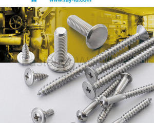 fastener-world(RAY FU ENTERPRISE CO., LTD. )