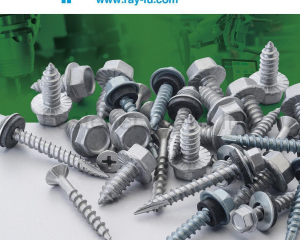 fastener-world(RAY FU ENTERPRISE CO., LTD. )