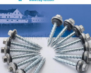 fastener-world(RAY FU ENTERPRISE CO., LTD. )