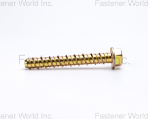 fastener-world(CHANG YI BOLT CO., LTD. )