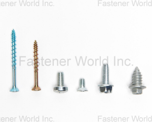 fastener-world(CHANG YI BOLT CO., LTD. )