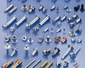 fastener-world_AMPLE LONG INDUSTRY CO., LTD. fastener-world(AMPLE LONG INDUSTRY CO., LTD. )