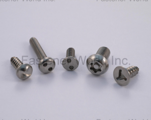 SECURITY SCREW