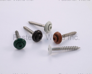 HEAD PAINTED SCREW