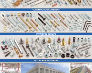 Construction Fastener, Furniture Screws, Automobile Fasteners(MASTER UNITED CORP. )