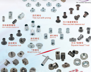 Non-Standard Sleeve Nut, Tee Nut with prong, Barrel Nut, Square Head T Nut, Propeller Nut, Swivel Nut, Brad Hole Nut(ZHEJIANG HYSTRON AUTO PARTS CO., LTD.)