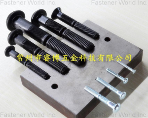 fastener-world(CHANGZHOU RUIBO HARDWARE TECHNOLOGY CO., LTD. )