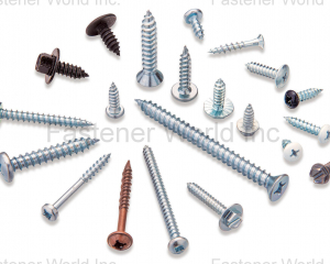 Self-Tapping Screw(MOLS CORPORATION )