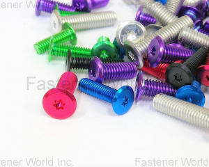 fastener-world(310express Company (Export div. of SAIMA) )