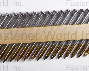 Paper Collated Nails(TRINITY STEEL PRIVATE LIMITED)