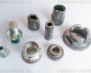 fastener-world(IWASHI TECHNOLOGY LIMITED )