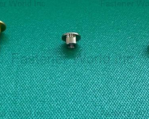 fastener-world(WEIMENG METAL PRODUCTS CO., LTD. )