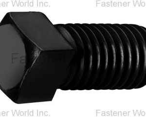 fastener-world(MAUDLE INDUSTRIAL CO., LTD.  )