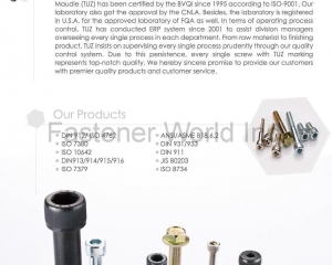 fastener-world(MAUDLE INDUSTRIAL CO., LTD.  )