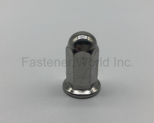 fastener-world(Zhejiang Ruizhao Technology Co., Ltd. )