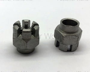 castle nut (Zhejiang Ruizhao Technology Co., Ltd.)