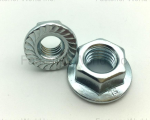 flange nut(Zhejiang Ruizhao Technology Co., Ltd.)