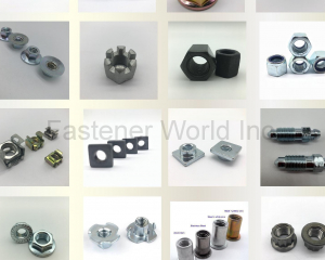 All kinds of Nut series(Zhejiang Ruizhao Technology Co., Ltd.)