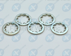 fastener-world(POINT SCREW ENTERPRISE CO., LTD. )