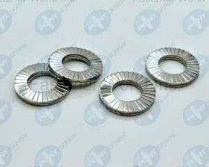 Nord-Lock Washer(POINT SCREW ENTERPRISE CO., LTD.)