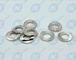 Curved Washer(POINT SCREW ENTERPRISE CO., LTD.)