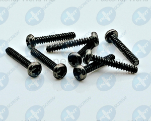 Pan Head Screw(POINT SCREW ENTERPRISE CO., LTD.)