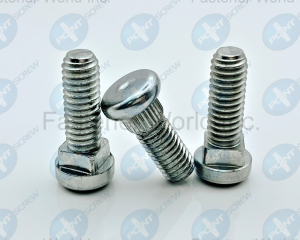 Special Screw(POINT SCREW ENTERPRISE CO., LTD.)