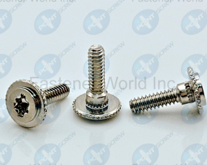 Special Screw