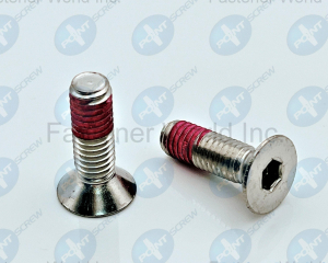 Nylok Hex Socket Countersunk Screw