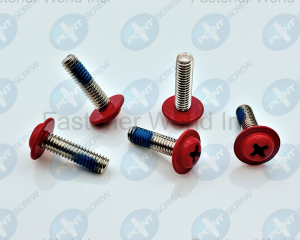 Nylok Pan Washer Painted Head Screw