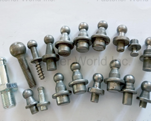 Open Die Screw/Open Mould Screw(ALISHAN INTERNATIONAL GROUP CO., LTD.)