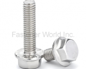 Stainless Steel Hexagon Flange Bolts With Serrated(JIAXING AOKE HARDWARE TECHNOLOGY CO., LTD.)