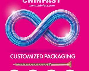 fastener-world_CHINFAST CO., LTD.  fastener-world(CHINFAST CO., LTD. )