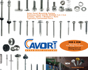 Screws / Bolts / Washers / Nuts / Typically Customized Parts / Drilling Screws / Number Plate Screws(JIAXING CAVORT HARDWARE CO., LTD. )