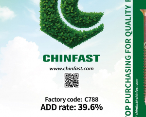 fastener-world_CHINFAST CO., LTD.  fastener-world(CHINFAST CO., LTD. )