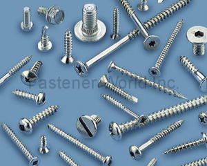 Screws(PRO-VISA (LIN) INT'L CORP.)