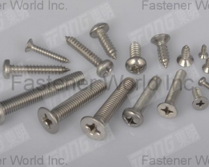 Machine Screws(TONG MING ENTERPRISE CO., LTD. )