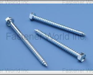 Self Tapping Screw(FUSHANG CO., LTD. )