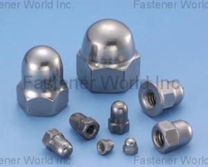 Cap Nuts (WEI ZAI INDUSTRY CO., LTD. )